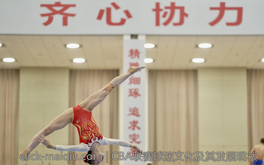 CBA联赛球迷文化及其发展现状